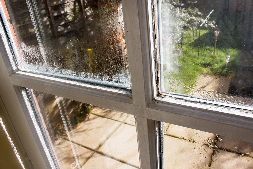 5 Signs It’s Time To Get A Window Replacement | San Antonio, TX