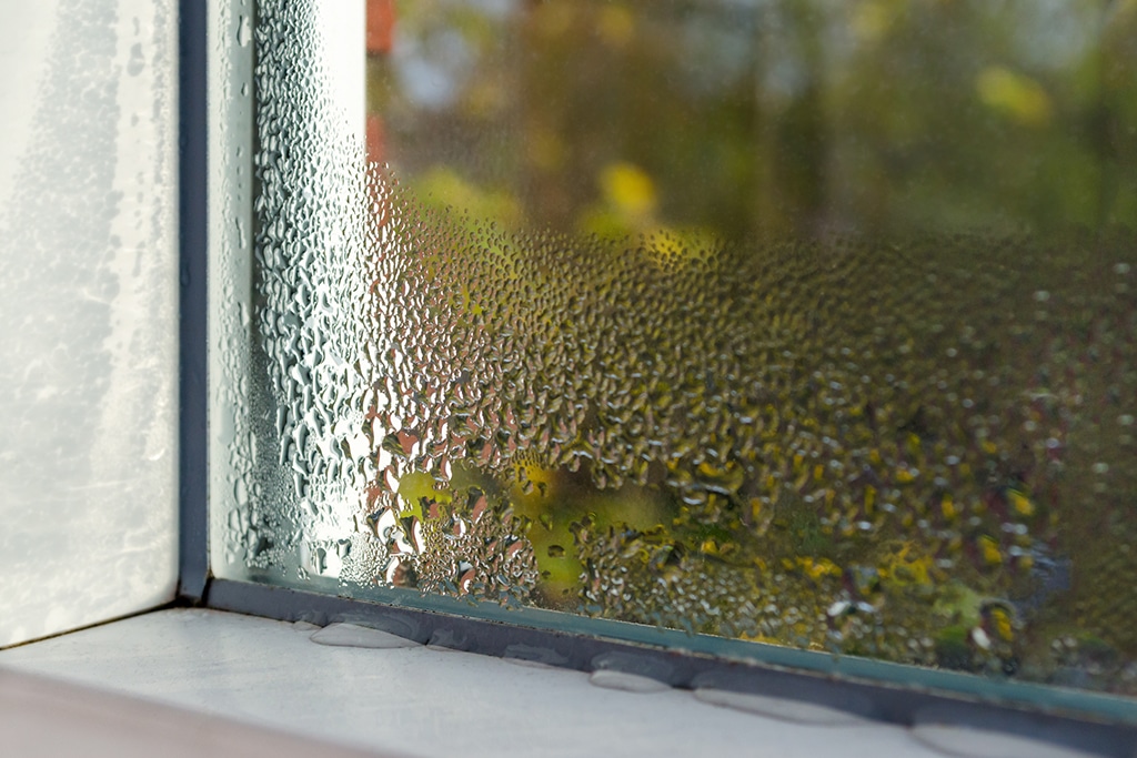 7 Signs You Need A Window Replacement | San Antonio, TX